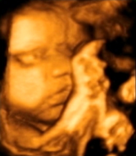 grossesse-troisieme trimestre